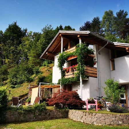 Bed and Breakfast Minavill La Casa Sulle Dolomiti Fiera Di Primiero Exterior foto
