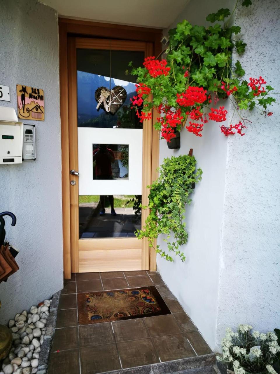 Bed and Breakfast Minavill La Casa Sulle Dolomiti Fiera Di Primiero Exterior foto